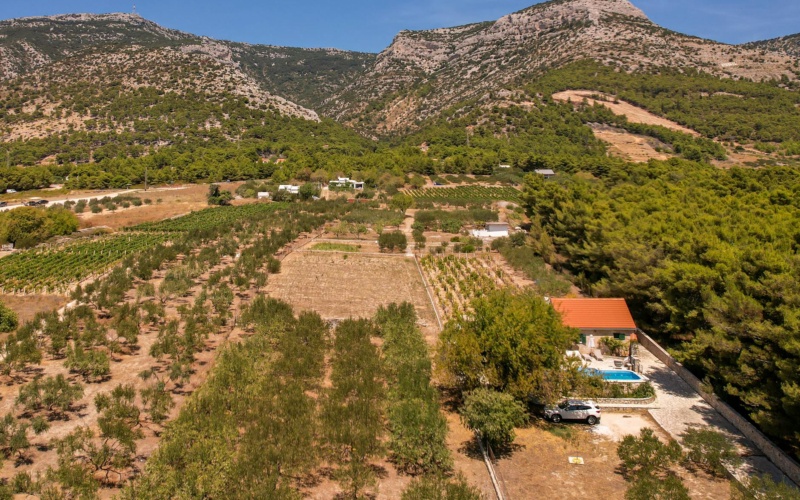 Denizli'de Prefabrik Ev ve Bağ Evi Yapımı